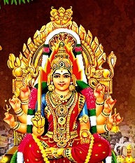 பெரம்பலூர் எடத்தெரு மாரியம்மன் கோவில் பூச்சொரிதல் விழா!