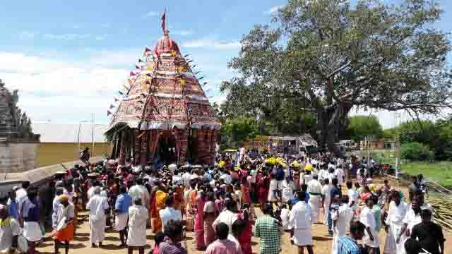 வயலப்பாடி வைகரை ஆண்டவர் கோயிலில் தேரோட்டம் : திரளான பக்தர்கள் வடம் பிடித்தனர்