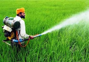 விவசாயிகளுக்கு பயிர்களுக்கு உரம், பூச்சி மருந்து தெளிப்பது மற்றும் பயிர்பாதுகாப்பு குறித்த விழிப்புணர்வு கருத்தரங்கம்
