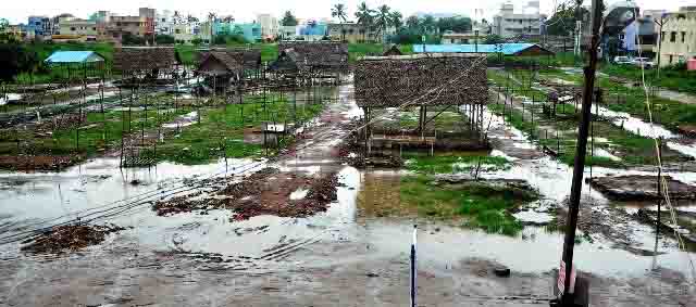 சுகாதாரமில்லாத பெரம்பலூர் வாரச்சந்தை : அதிகாரிகள் அலட்சியம்
