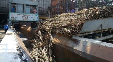 பெரம்பலூர் சர்க்கரை ஆலையில் அரவைப் பணி தொடங்கியது
