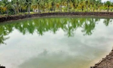 பல்நோக்கு பண்ணைக் குட்டை அமைக்கும் திட்டத்தின் கீழ் மீன்வளர்ப்பு குளங்கள் அமைக்க விண்ணப்பிக்கலாம்