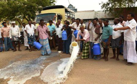 பெரம்பலூர் அருகே கூட்டுறவு சங்க தேர்தலை நடத்தக் கோரி பாலை தரையில் கொட்டி போராட்டம்