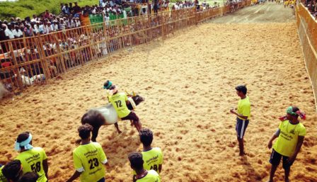 பெரம்பலூர் அருகே கொளத்தூரில் ஜல்லிக்கட்டு: 8 பேர் காயம்