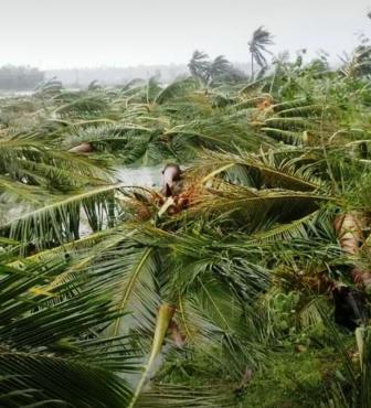 புயல் பாதித்த பகுதிகளில் பாமக சார்பில் ரூ.1 கோடிக்கு உதவி வழங்கப்படும்! அன்புமணி எம்.பி