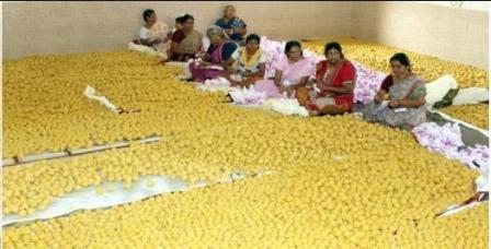 நாமக்கல், ஸ்ரீ ரங்கநாதர் கோவில் வைகுண்ட ஏகாதசி விழா 55 ஆயிரம் லட்டுகள் தயாரிக்கும் பணி துவக்கம்