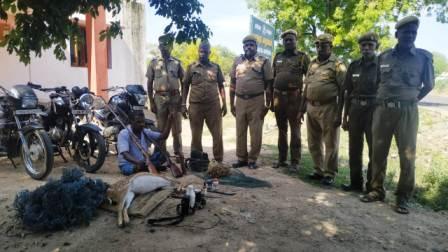 பெரம்பலூர் அருகே மான் வேட்டை: ஒருவர் கைது : 5 பேர் தப்பினர் ! துப்பாக்கிகள் பறிமுதல்!