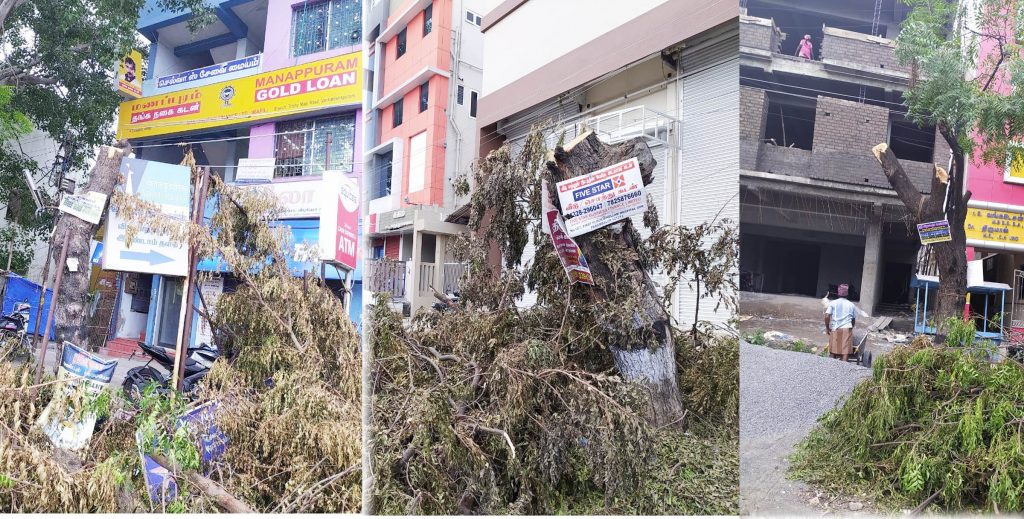 பெரம்பலூர் நகரில் மரங்களை வெட்டியவர்களுக்கு ரூ.30ஆயிரம் அபராதம்!