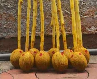 பெரம்பலுர் பகுதிகளில் ஆடி மாதம் முதல் நாளையொட்டி, ஆடித் தேங்காய் சுடும் விழா!