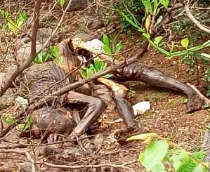 பெரம்பலூர் அருகே காட்டுப் பகுதியில் அழுகிய நிலையில் பெண் சடலம்; மர்ம சாவு குறித்து போலீசார் விசாரணை!
