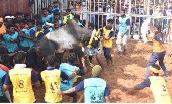 சில்லக்குடியில் ஜல்லிக்கட்டு; 300 க்கும் மேற்பட்ட காளைகள், காளையர்கள் பங்கேற்பு!
