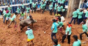 விசுவகுடி கிராமத்தில் ஜல்லிக்கட்டு; 37 பேர் காயம்; 440 காளைகள், 256 காளையர்கள் பங்கேற்பு!