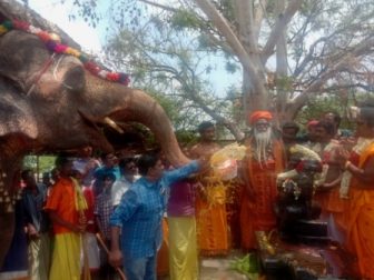 யானை புனித நீரூற்றி அருள்மிகு ஸ்ரீநேத்திர விநாயகர் கோவில் கும்பாபிஷேகம்!