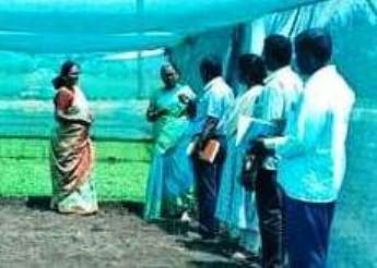 உழவர் சந்தையில் காய்கறி வரத்தை அதிகரிக்க, பெரம்பலூர் தோட்டக்கலைத் துறை துணை இயக்குநர் இந்திரா தலைமையில் கிராமங்களில் விவசாயிகளிடையே விழிப்புணர்வு!