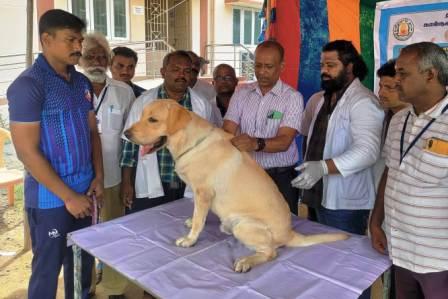 உலக வெறி நோய் தினத்தை முன்னிட்டு செல்ல பிராணிகளுக்கு, பெரம்பலூர் மாவட்ட கால்நடை பராமரிப்புத் துறை வெறிநோய் தடுப்பூசி!