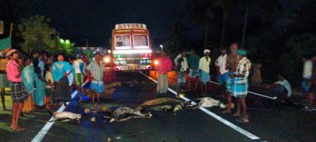 7 ஆடுகள் பலி! மோதி விட்டு நிற்காமல் சென்ற லாரியை கண்டுபிடிக்க கோரி இறந்த ஆடுகளை வைத்து பெரம்பலூர் அருகே சாலைமறியல்!