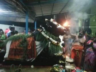 பிரதோஷம்: பெரம்பலூர் அருகே நந்திக்கு சிறப்பு அபிஷேகம்!