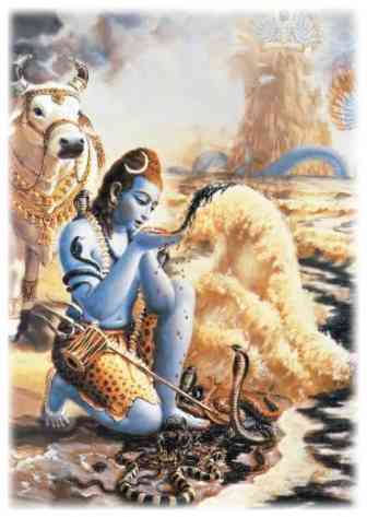 மார்கழி பிறப்பை முன்னிட்டு, பெரம்பலூர் பிரம்பபுரீஸ்வரர் கோவிலில் தனுர் பூஜை, இன்று தொடங்கியது!!