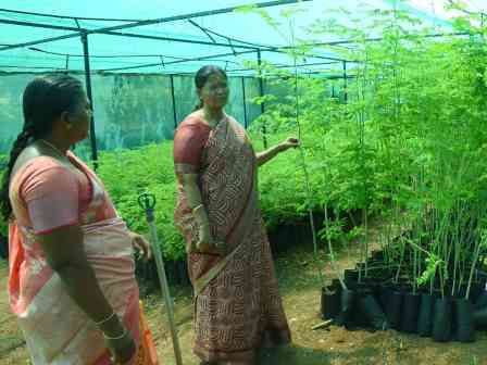 ஏரிக்குள் பாதை: மக்கள் குறைத்தீர் கூட்டத்தில் கொடுத்த புகாருக்கு பெரம்பலூர் கலெக்டர் நேரில் ஆய்வு; ஆக்கிரப்பை அகற்ற உத்தரவு!