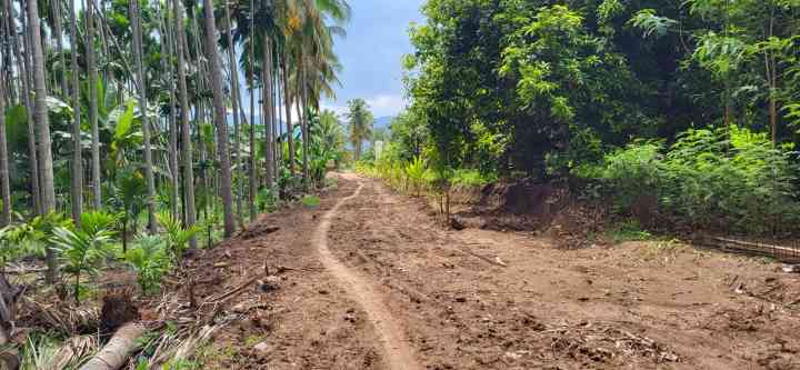 பெரம்பலூர்: பூலாம்பாடியில் விவசாயிகளுக்கான சாலைப் பணி முடக்கம்; அமைதி பேச்சு வார்த்தை நடத்தி தீர்வு காண கலெக்டரிடம் மனு!