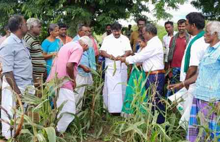 பெரம்பலூர்: படை புழுக்களால் பாதிக்கப்பட்ட மக்காச்சோள விவசாயிகளுக்கு எம்.எல்.ஏ பிரபாகரன் ஆறுதல்!