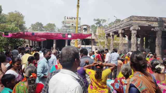 பெரம்பலூர்: சுஆடுதுறை அருள்மிகு குற்றம் பொறுத்தவர் கோயிலில் மாசி மகம் திருவிழா; ஆயிரக்கணக்கான பக்தர்கள் கலந்து கொண்டனர்.