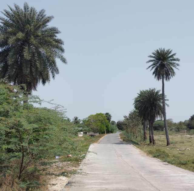 பெரம்பலூர் வானிலை: 105 டிகிரியை தொட்ட வெப்பநிலை: வீடுகளில் முடங்கிய மக்கள்!