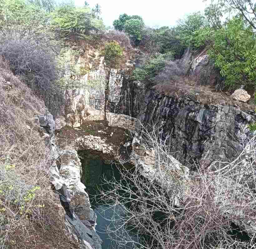 பெரம்பலூர்: தாகத்திற்கு தண்ணீர் அருந்த வந்த மானை நாய்கள் துரத்தியதால் கல்குவாரியில் விழுந்து பலி!