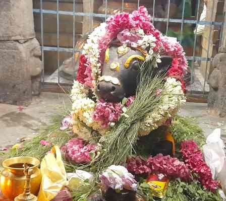 பெரம்பலூர்: பிரம்மபுரீஸ்வரர் கோவிலில் பிரதோஷ பூஜை !