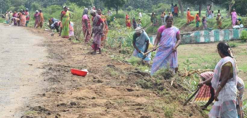 பெரம்பலூர்: 1 லட்சம் பனை விதைகள் நடும் பணி கலெக்டர் தொடங்கி வைத்தார்!
