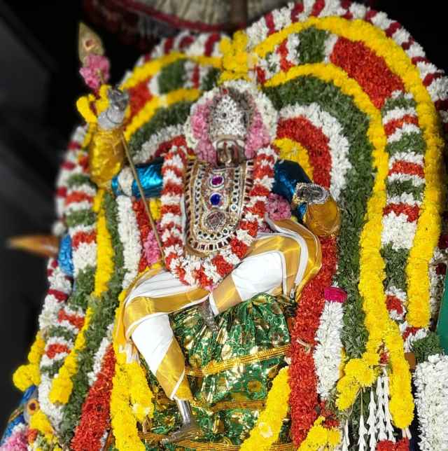 பெரம்பலூரில் சூரசம்ஹாரம்: அசுரனை வேட்டையாடி சூரனை அழித்தார் முருகன்!