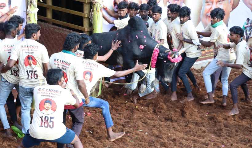 பெரம்பலூர்: கொளத்தூரில் ஜல்லிக்கட்டு; அமைச்சர் சிவசங்கர் தொடங்கி வைத்து பரிசுகள் வழங்கினார்!