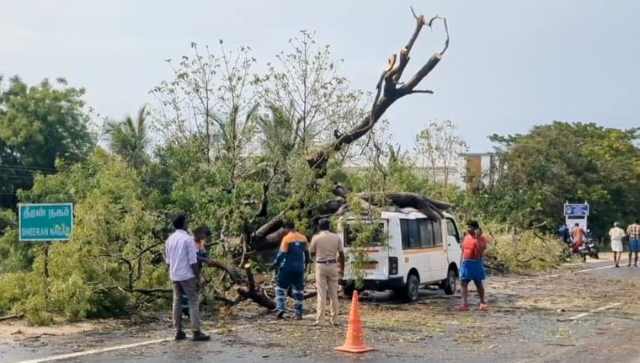 பெரம்பலூர்: பலத்த காற்றுடன் மழை. ஆட்டோ மீது மரம் முறிந்து விழுந்தது; போக்குவரத்து பாதிப்பு!